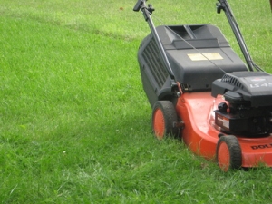 Rot-schwarzer Rasenmäher auf kurz gemähtem Rasen. © BettinaF  / pixelio.de