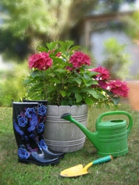 Auf dem Rasen sind vor einem Topf mit Blumen Gummistiefel, eine Schaufel und eine Gieskanne zu sehen. © Alexandra H. / pixelio.de